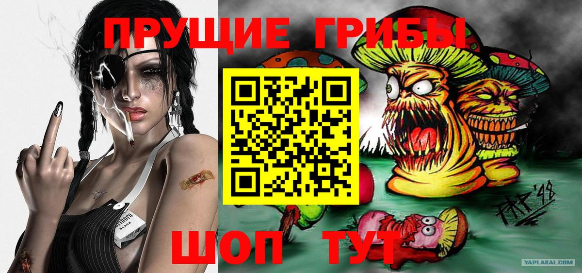 Псилоцибиновые грибы Psilocybe  купить закладку  Конаково  Вход с VPN 